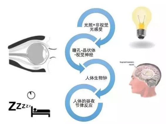 3051659408226577.jpg 圖片2.jpg