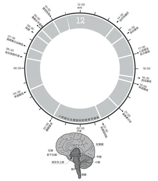 7151659418786664.jpg 圖片6.jpg